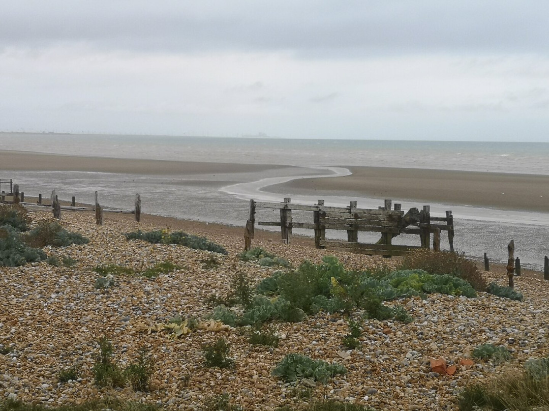 Rye Harbour Cycles-拉伊必去景点