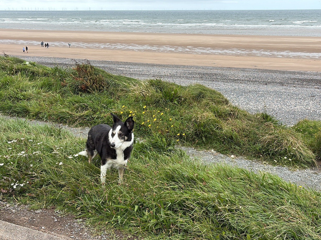 Silecroft Beach-Silecroft必去景点