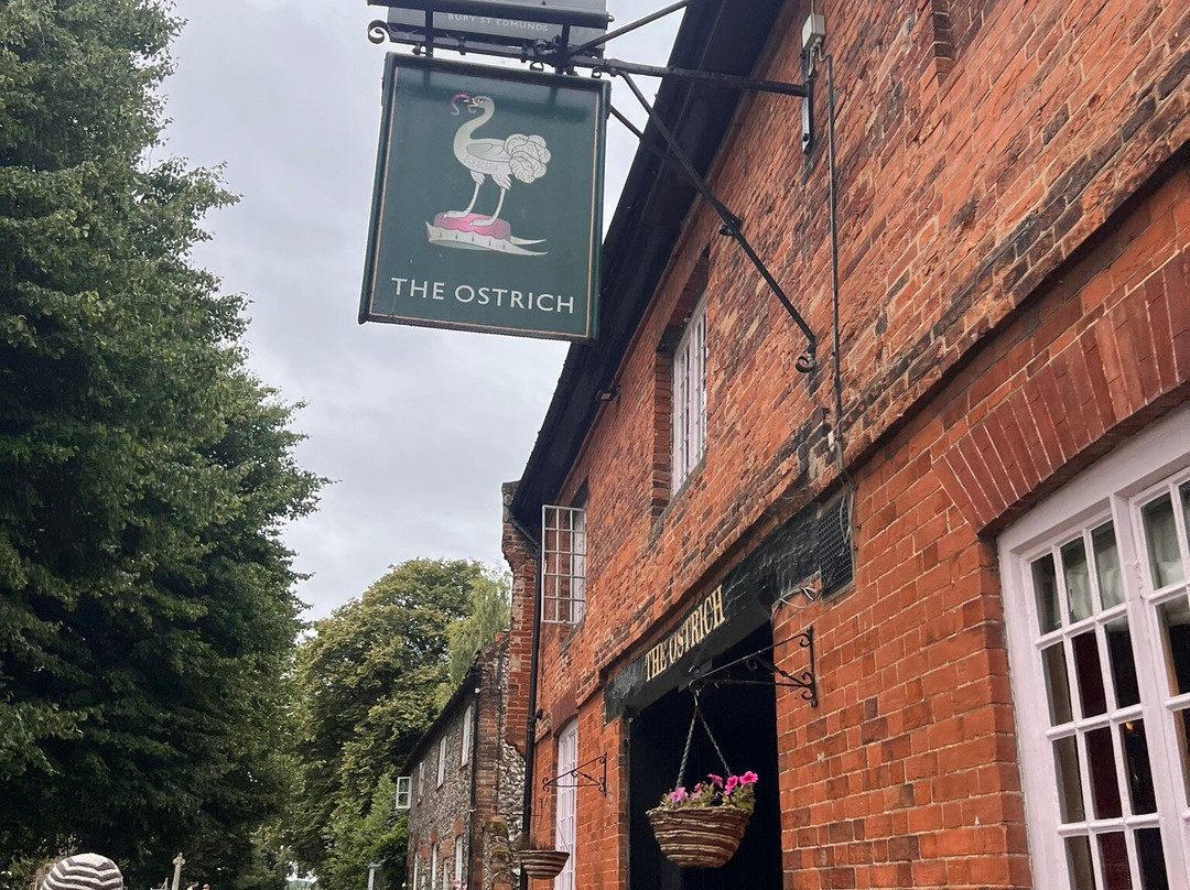 The Ostrich Castle Acre主图