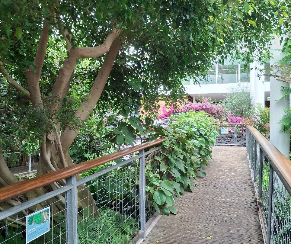 Jephsons Glasshouse-皇家利明顿温泉必去景点