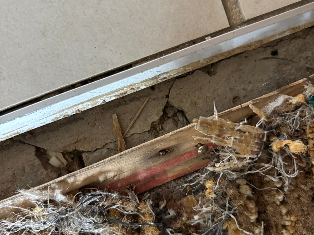 MainStay Suites Appleton Airport - Fox River Mall Area主图