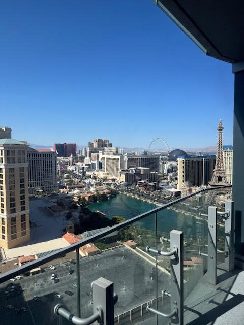 拉斯维加斯大都会酒店-酒店景观