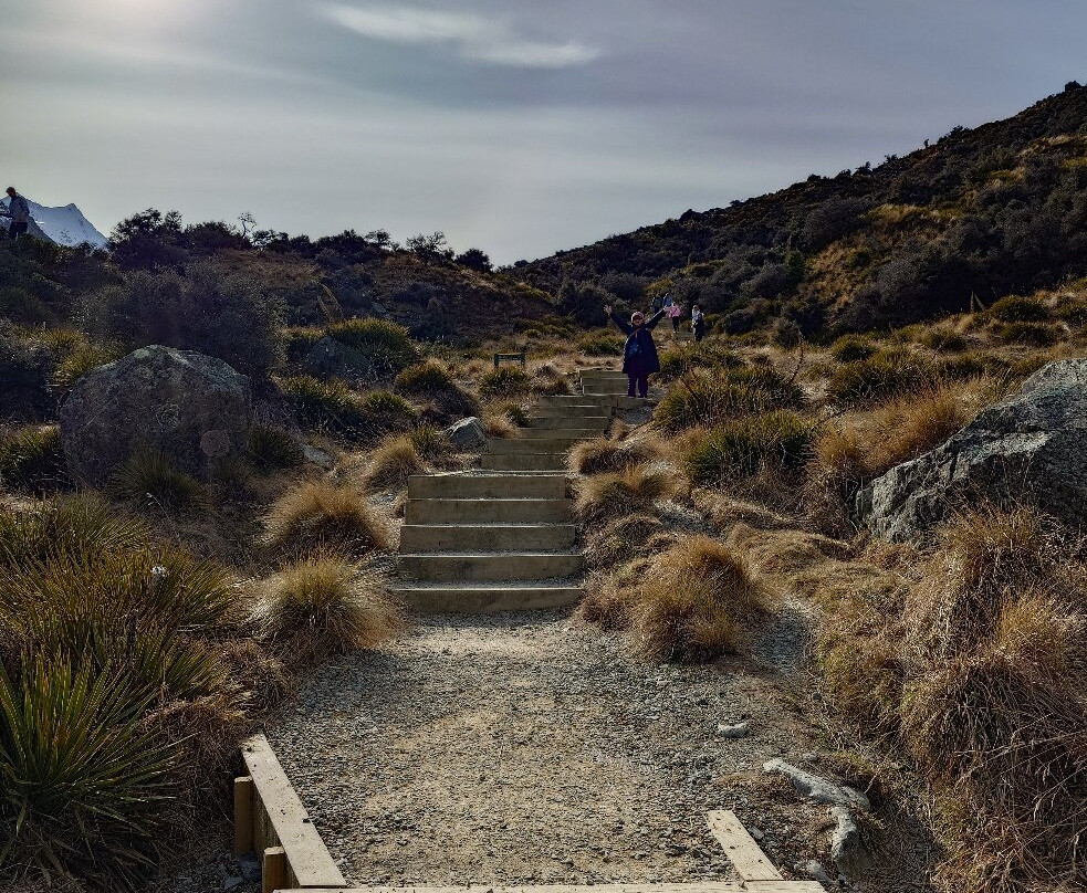蓝湖及塔斯曼冰川-库克山国家公园必去景点