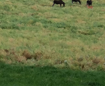 Wild Frame Adventures-赫尔辛基必去景点