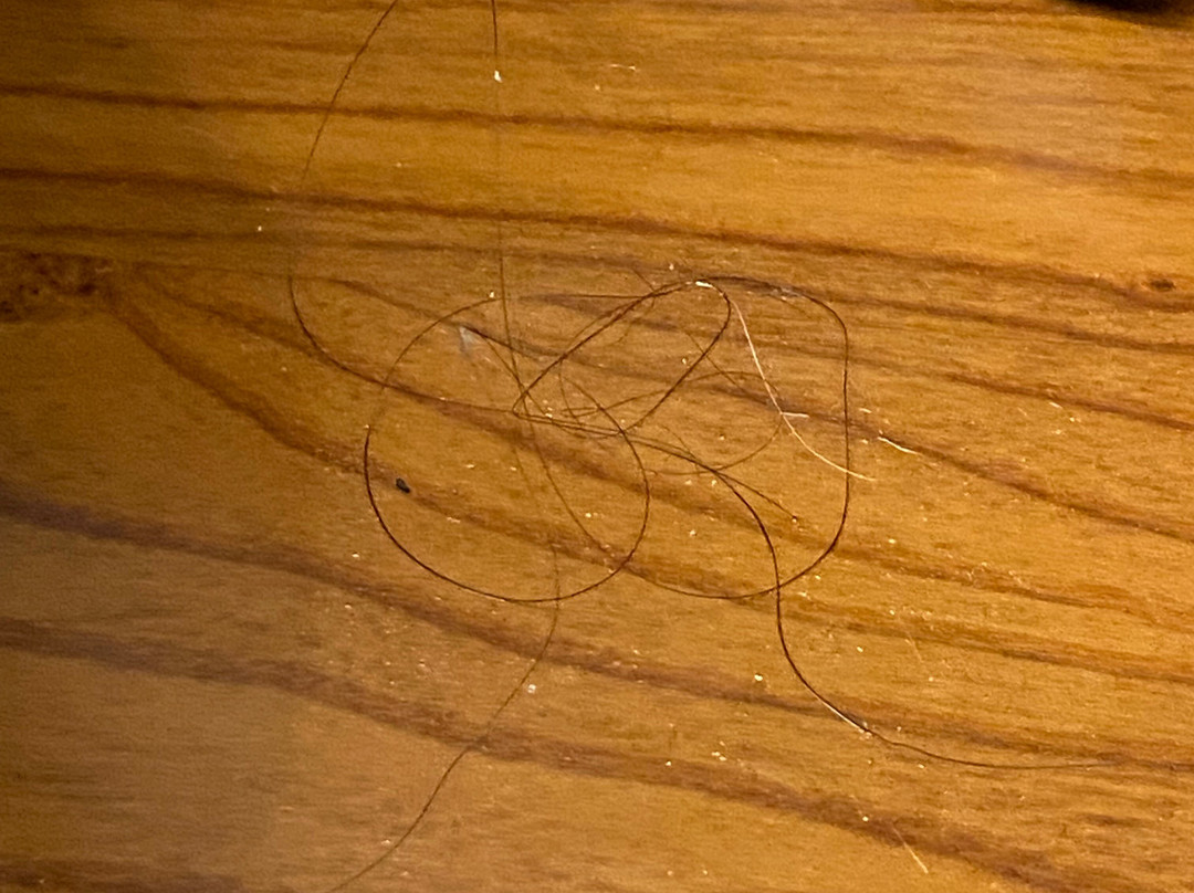 Ashley Inn and Suites主图