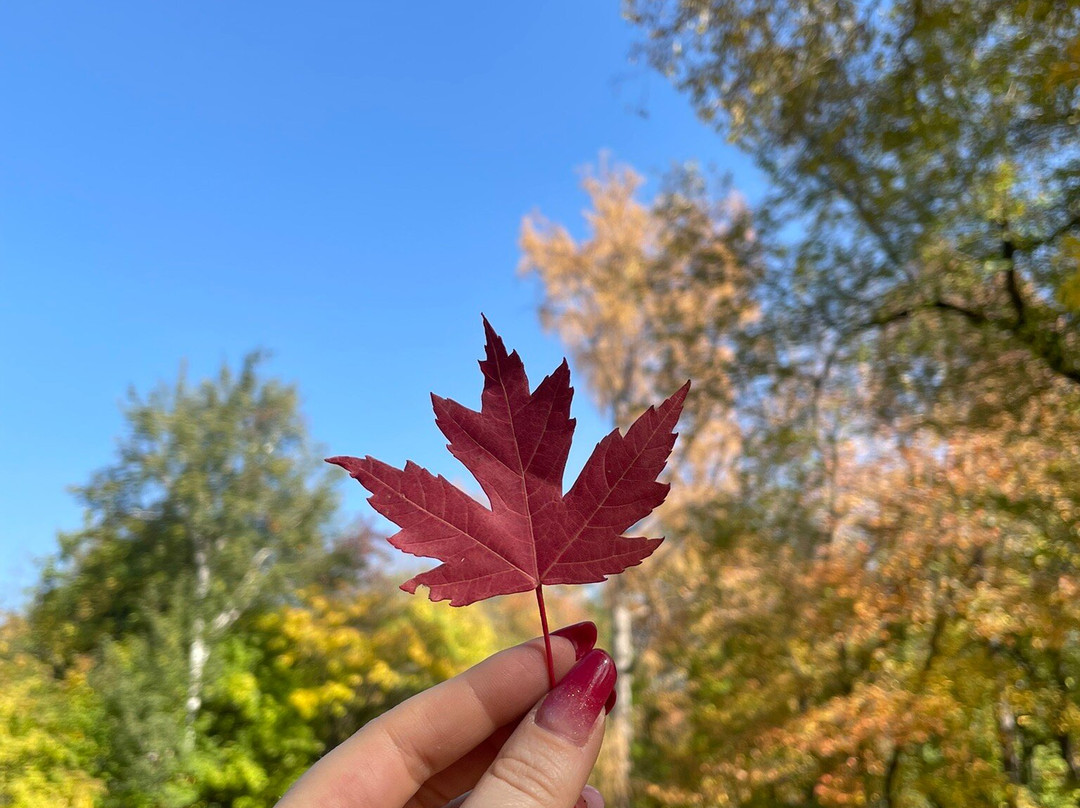 The Botanical Garden-阿拉木图必去景点
