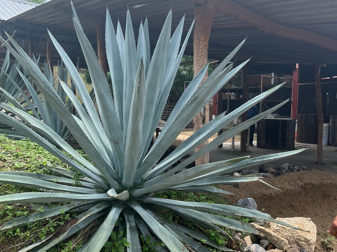 Ocean Travel-瓦图尔科必去景点