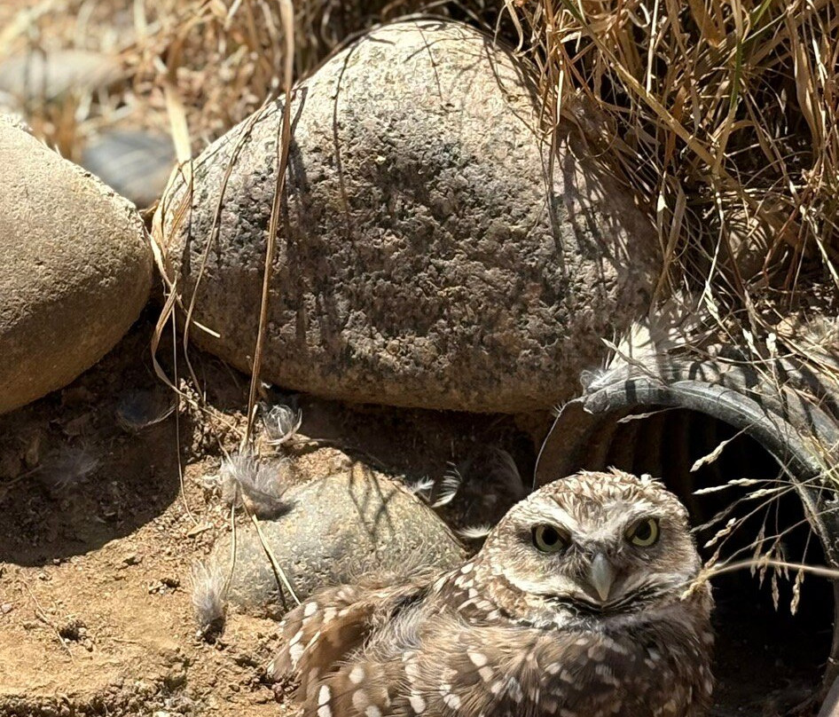 Living Coast Discovery Center-丘拉维斯塔必去景点