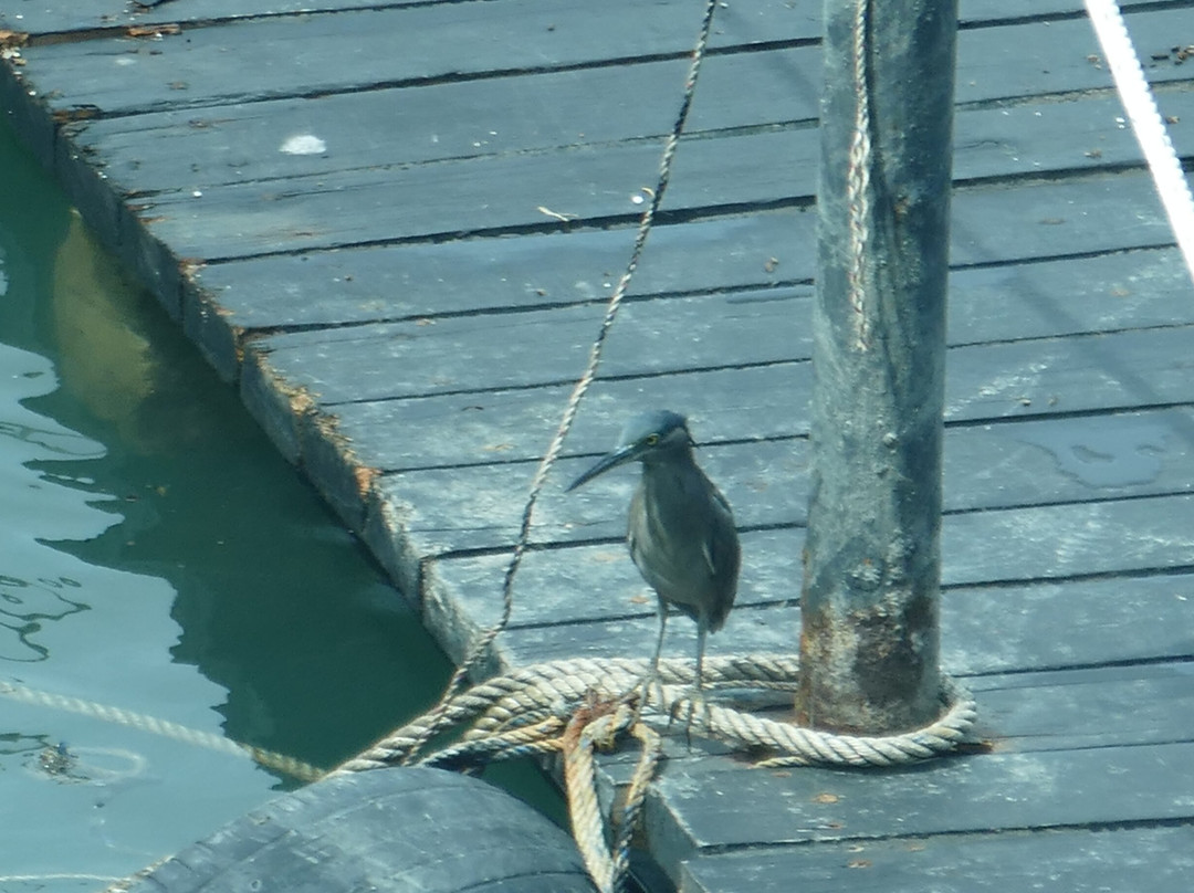 Sandakan Waterfront-山打根必去景点