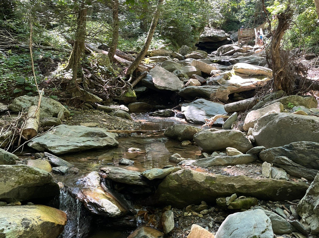 Otter Falls-Seven Devils必去景点