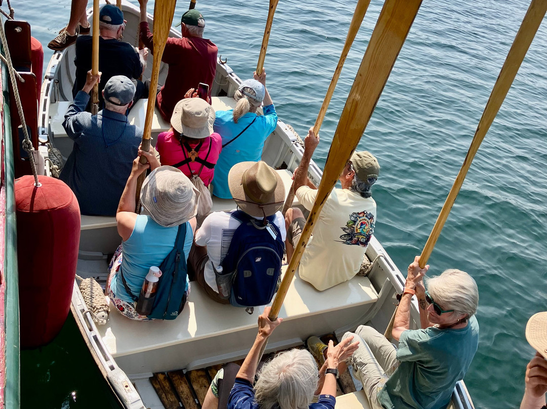 Windjammer Angelique-卡姆登必去景点