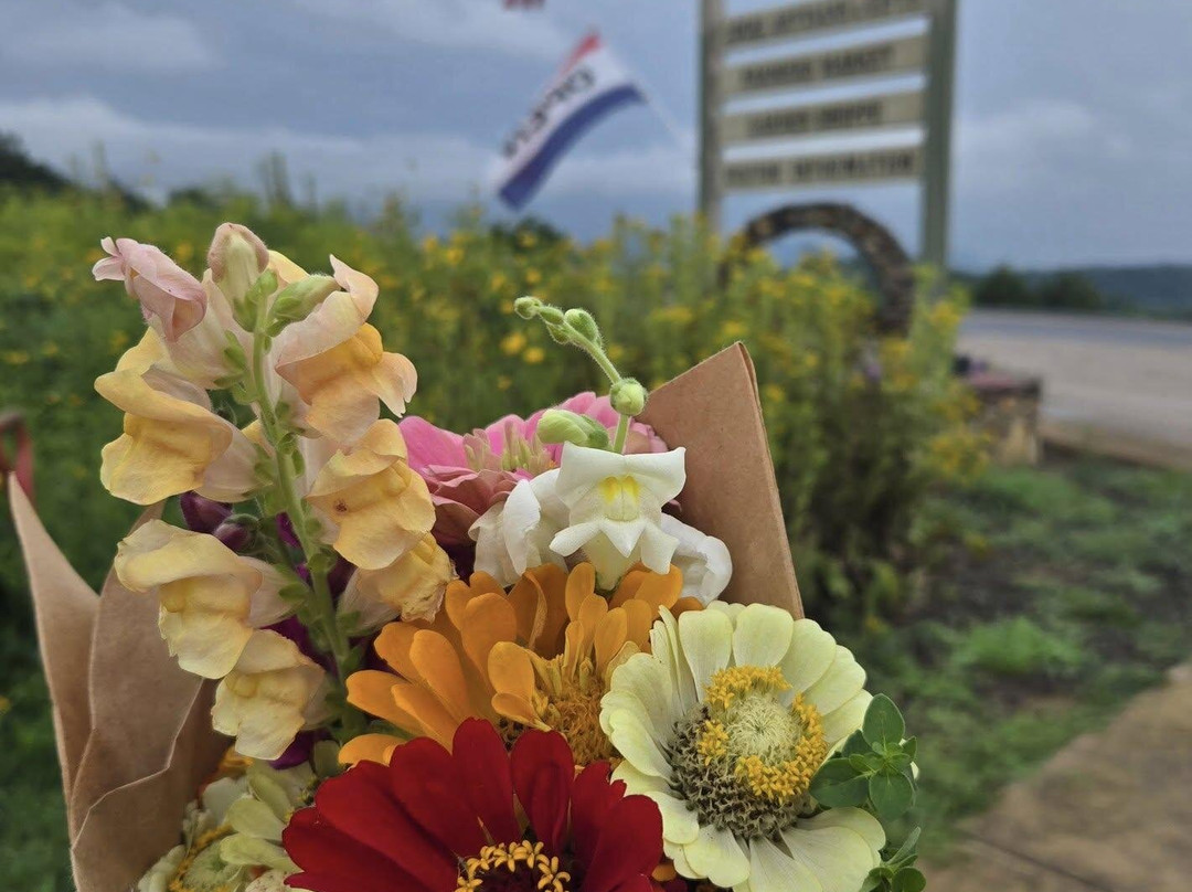 Massanutten Country Corner-卢雷必去景点