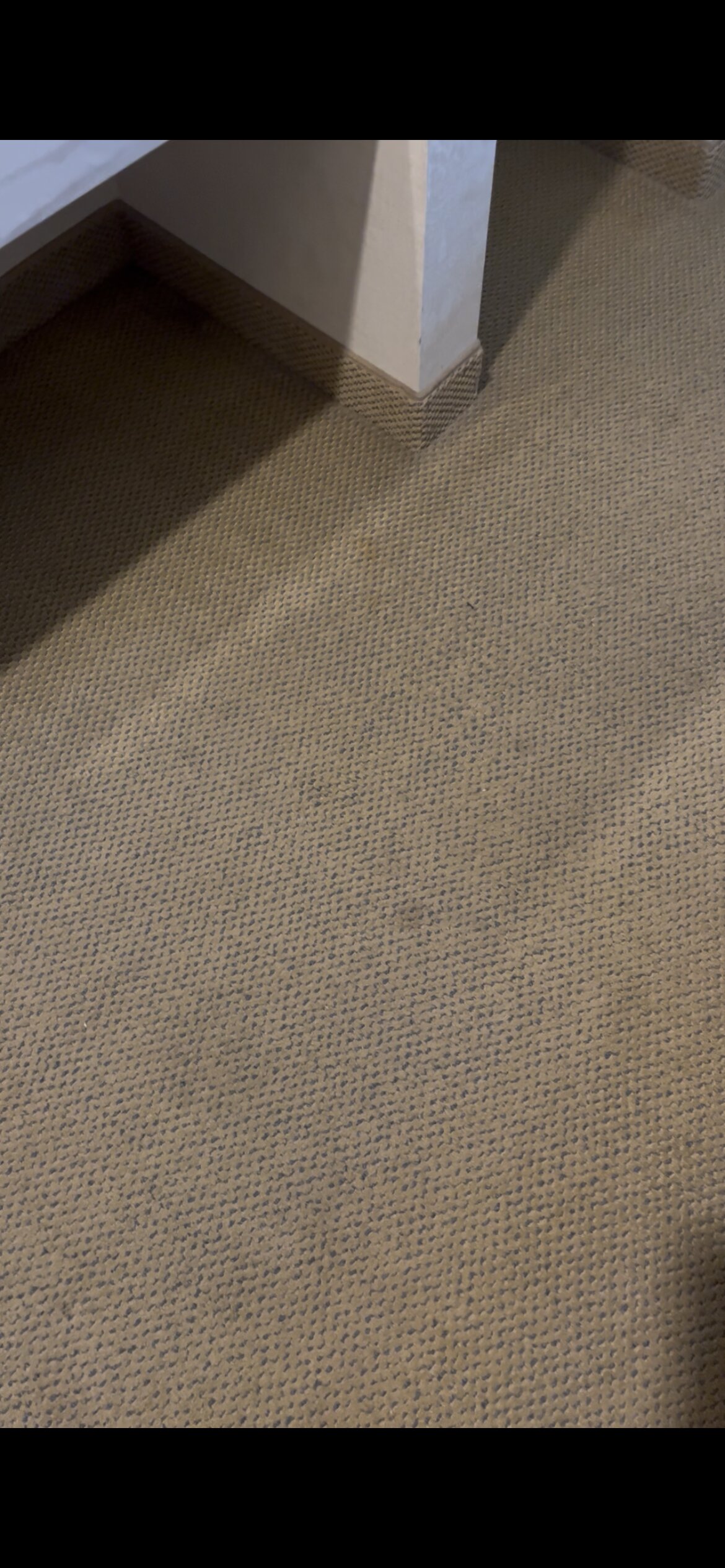 Silverland Inn-官方