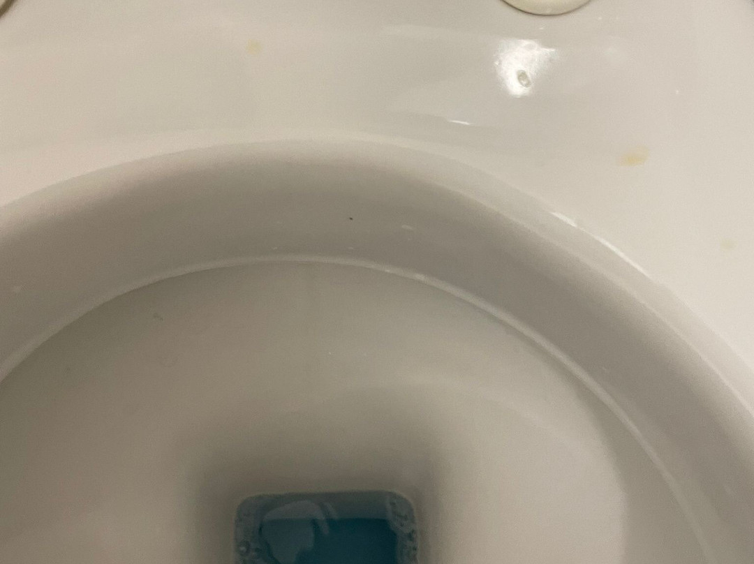 Avalon Lifestyle Guest House主图