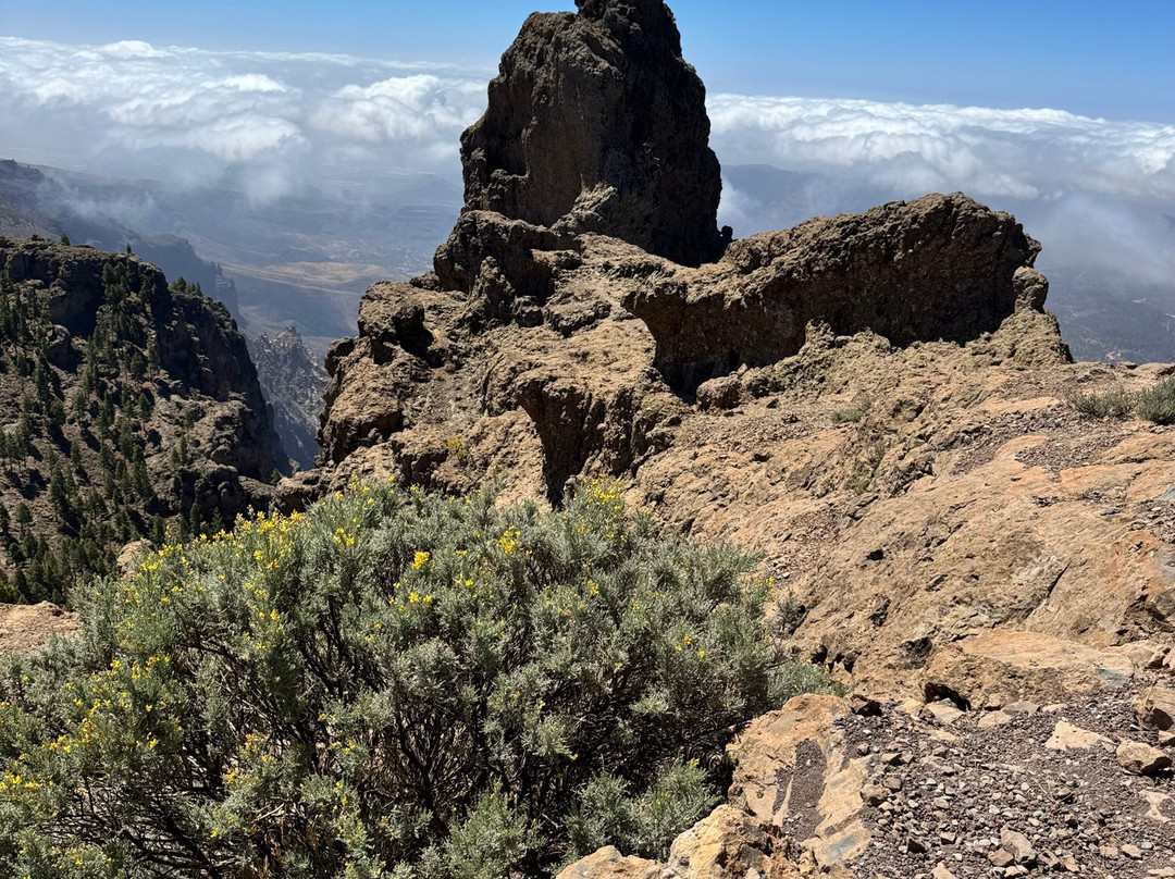 Pico De Las Nieves-大加那利岛拉斯帕尔马斯必去景点