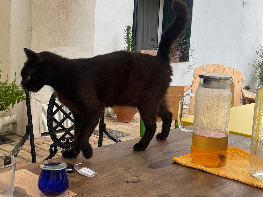 Dr. Kavvadia's Organic Farm-Tzavros必去景点