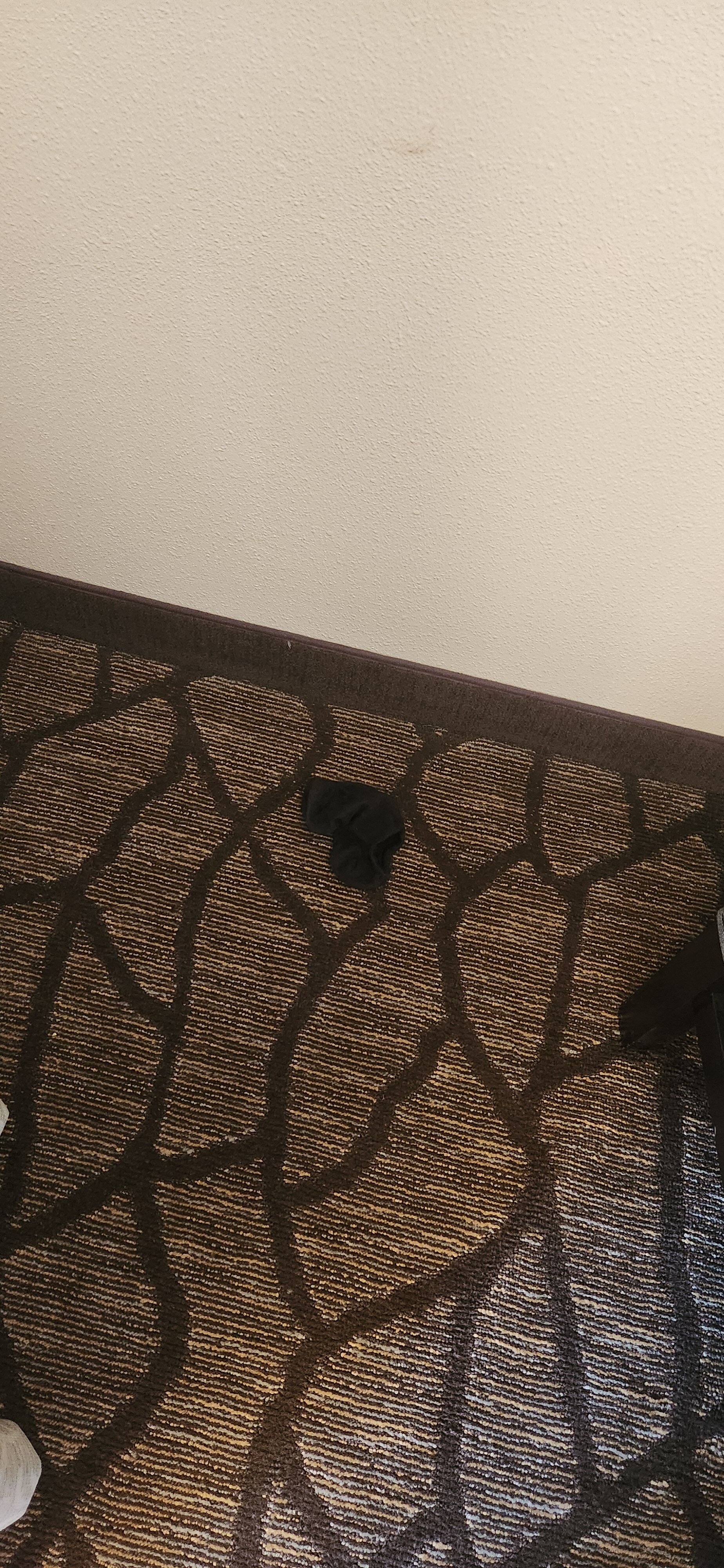 Harborside Inn-官方