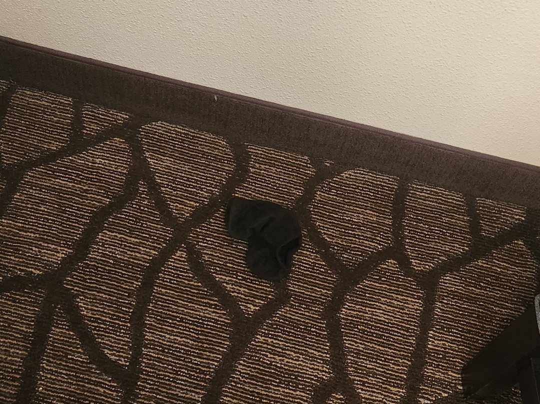 Harborside Inn主图