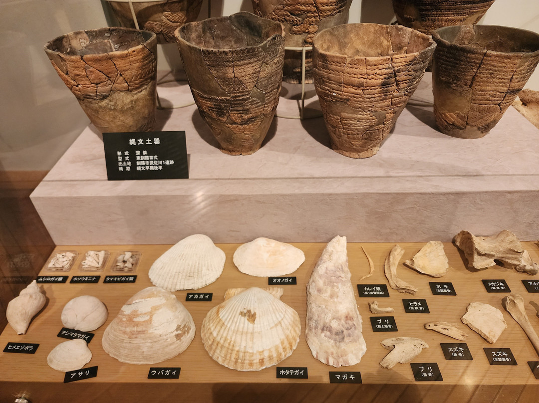 钏路市湿原展望台-钏路市必去景点