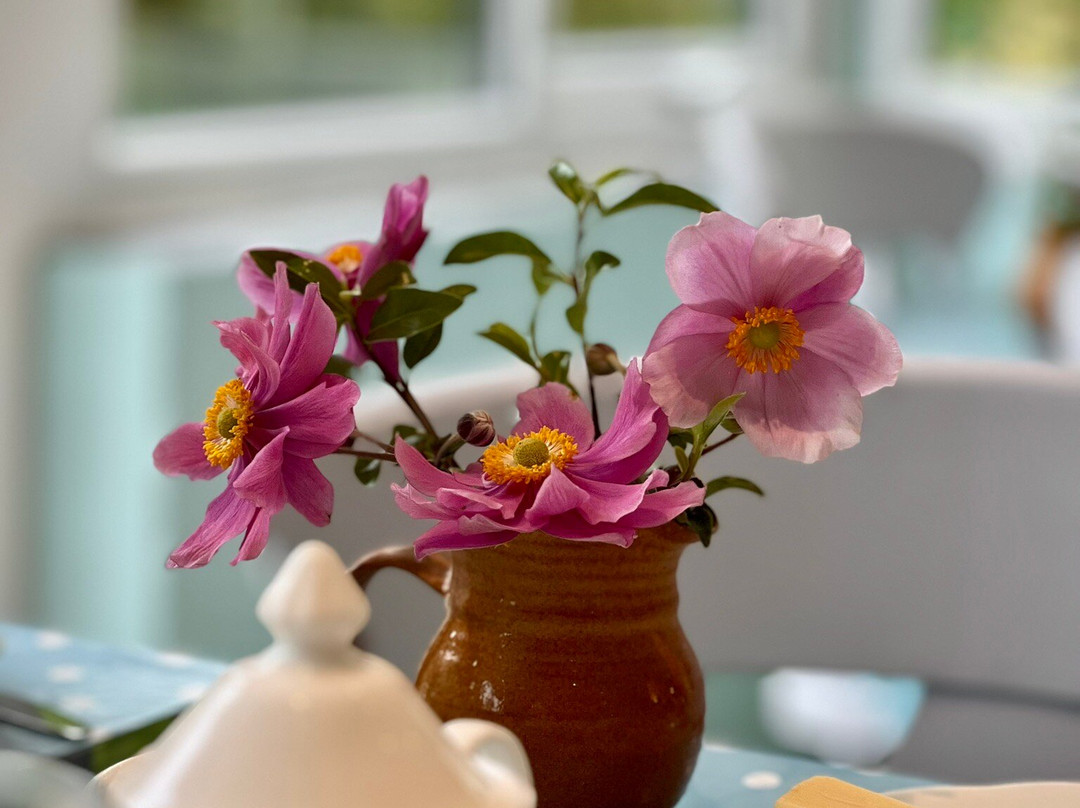 Little Pengelly Farm B&B主图