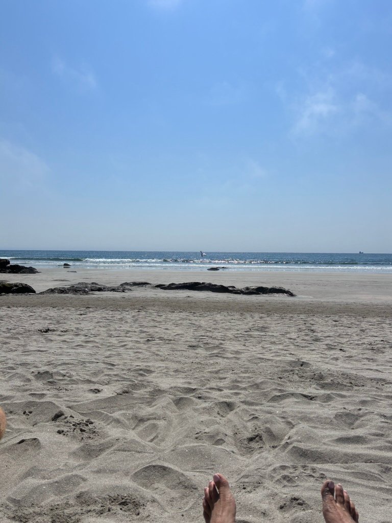 Hotel FeelViana-官方