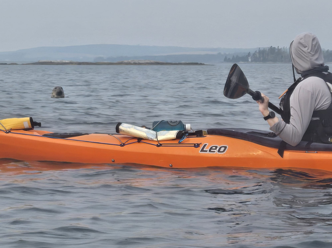 Cape LaHave Adventures-LaHave必去景点