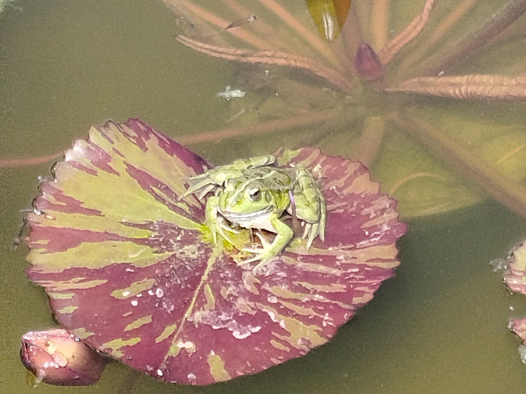 Latour-Marliac-Le Temple-sur-Lot必去景点
