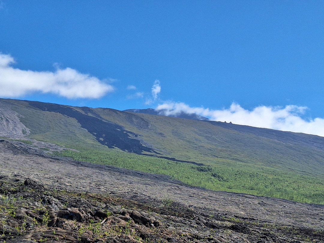 Enclos Du Grand Brûlé-Saint-Philippe必去景点