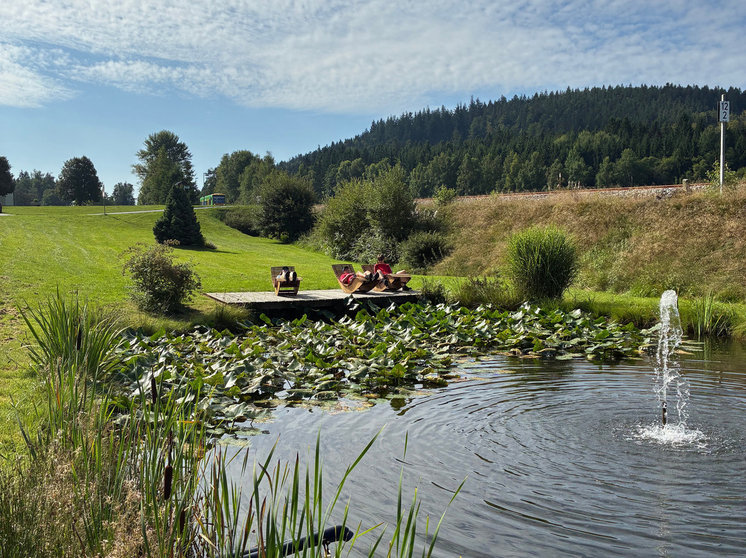Böhmhof Wellness Und Vitalhotel主图