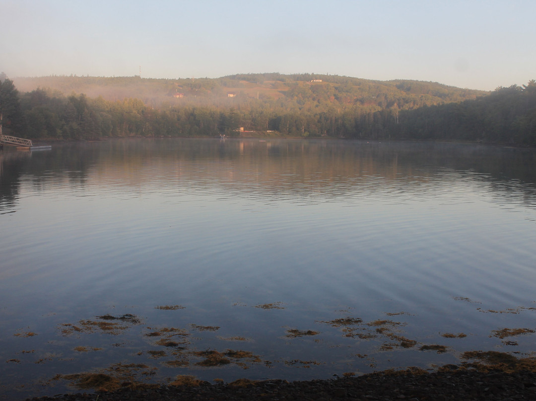 Authentic Seacoast Company-Guysborough必去景点