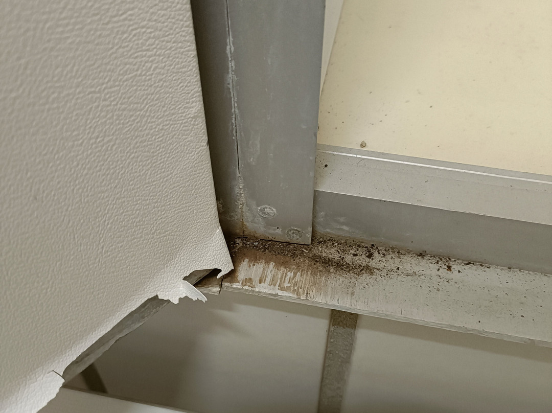 Badkap-阿尔布施塔特必去景点