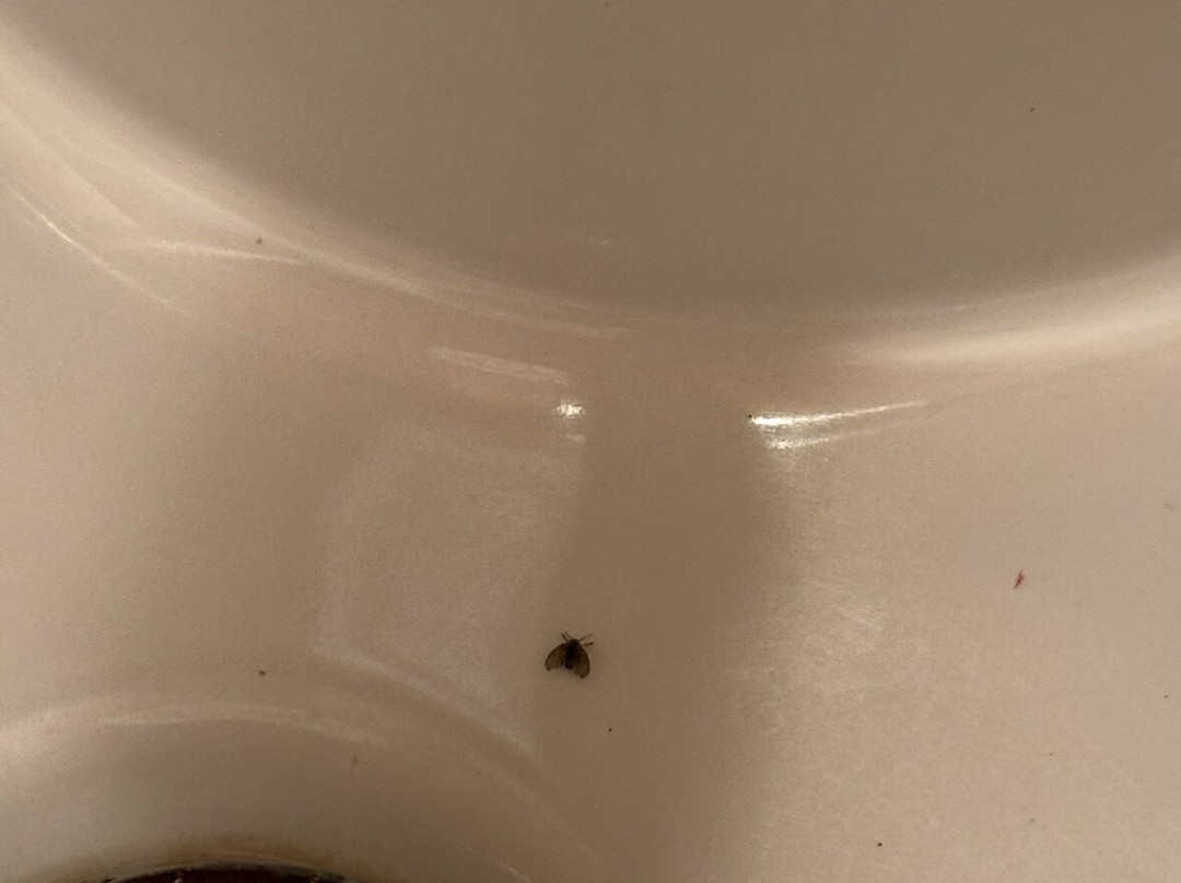 Ataviros Hotel主图