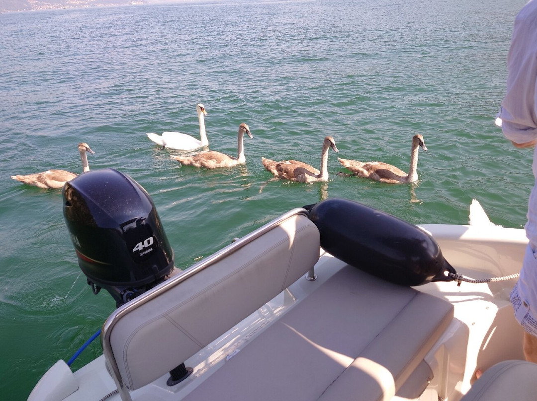 Newton Rent A Boat-Dongo必去景点