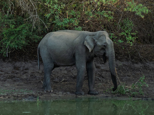 Beauty Island Lanka Travels-Wattegama必去景点