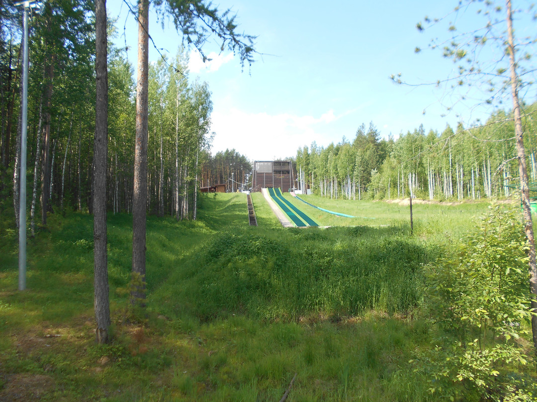 Tsentralny Les Kultury I Otdykha Park