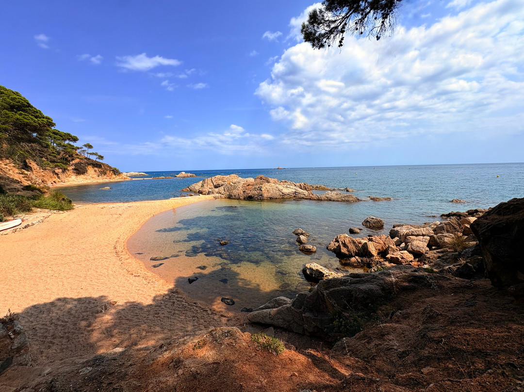 Cala Estreta-Palamos必去景点