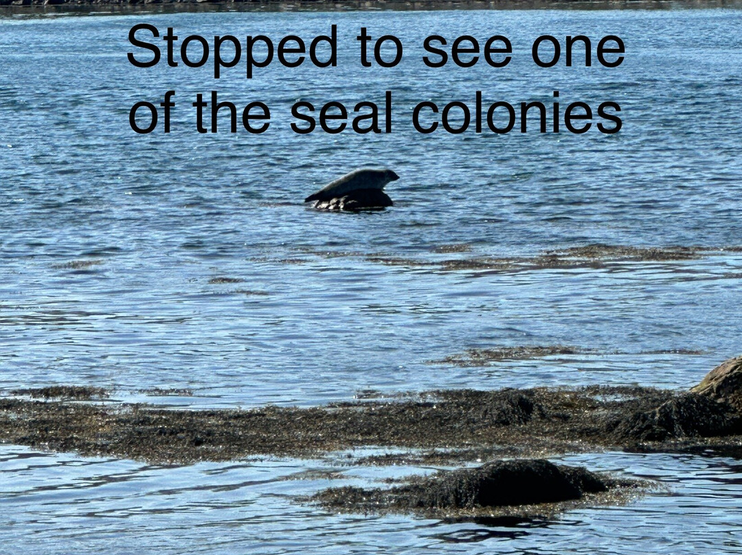 Eléa Guided Tours-Saint-Pierre必去景点