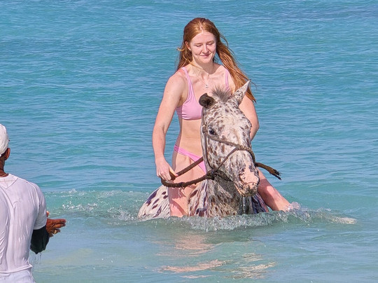 Sandy Turf Stables Barbados-Frere Pilgrim必去景点