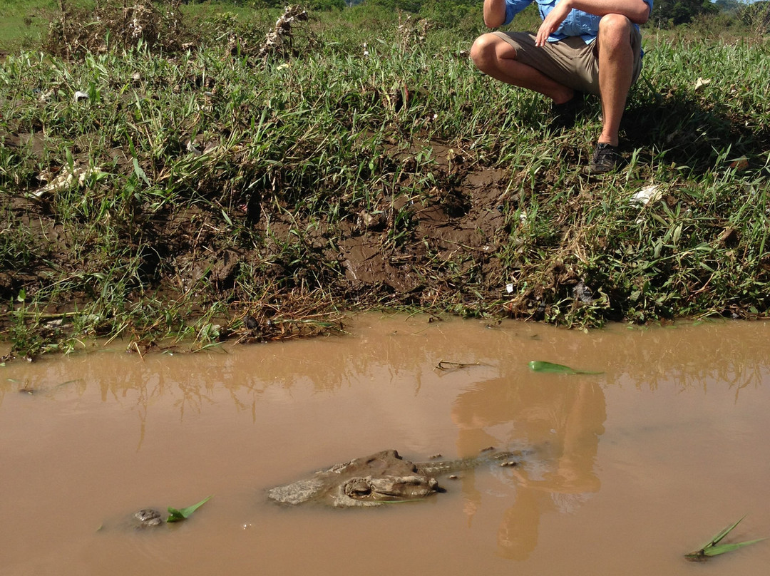 Jose's Crocodile River Tour-Tarcoles必去景点