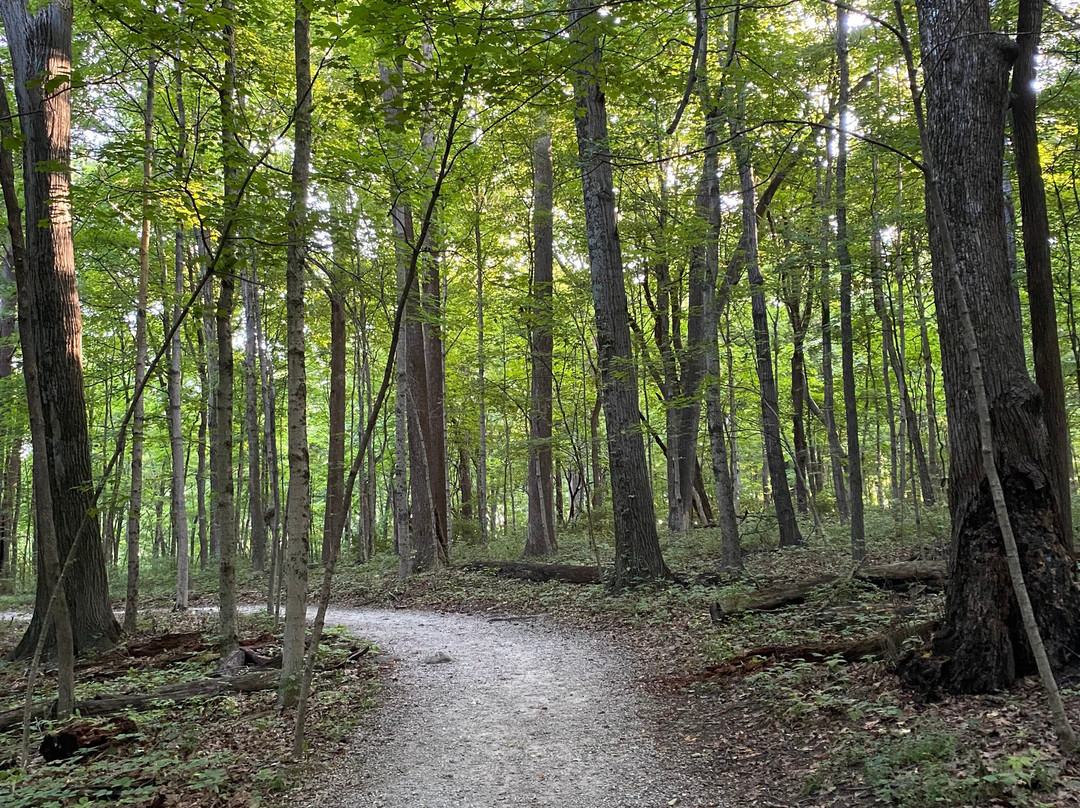 Charleston Falls Preserve-Tipp City必去景点
