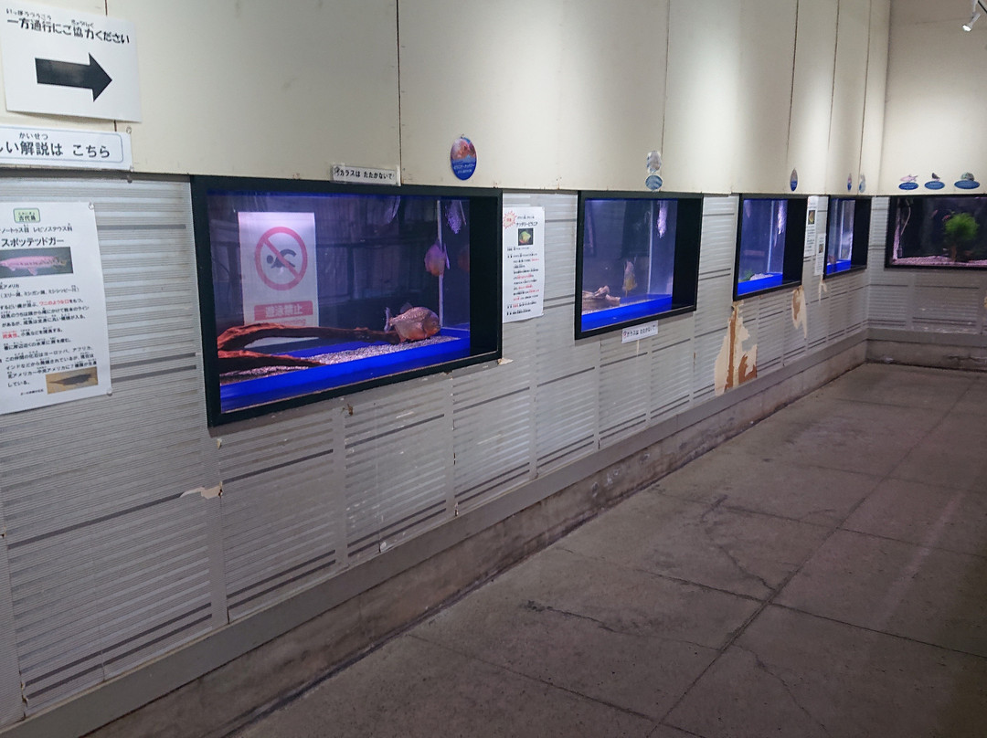 Kiryugaoka Zoo-桐生市必去景点