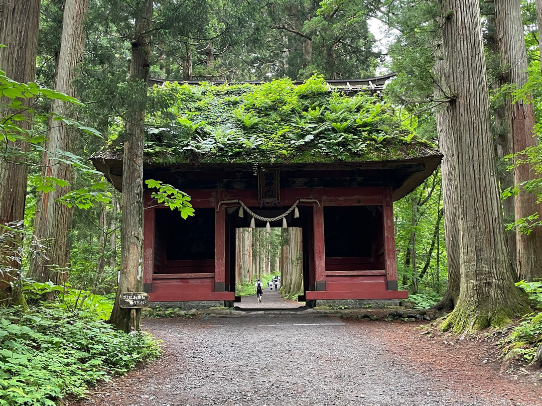户隐神社-长野县必去景点
