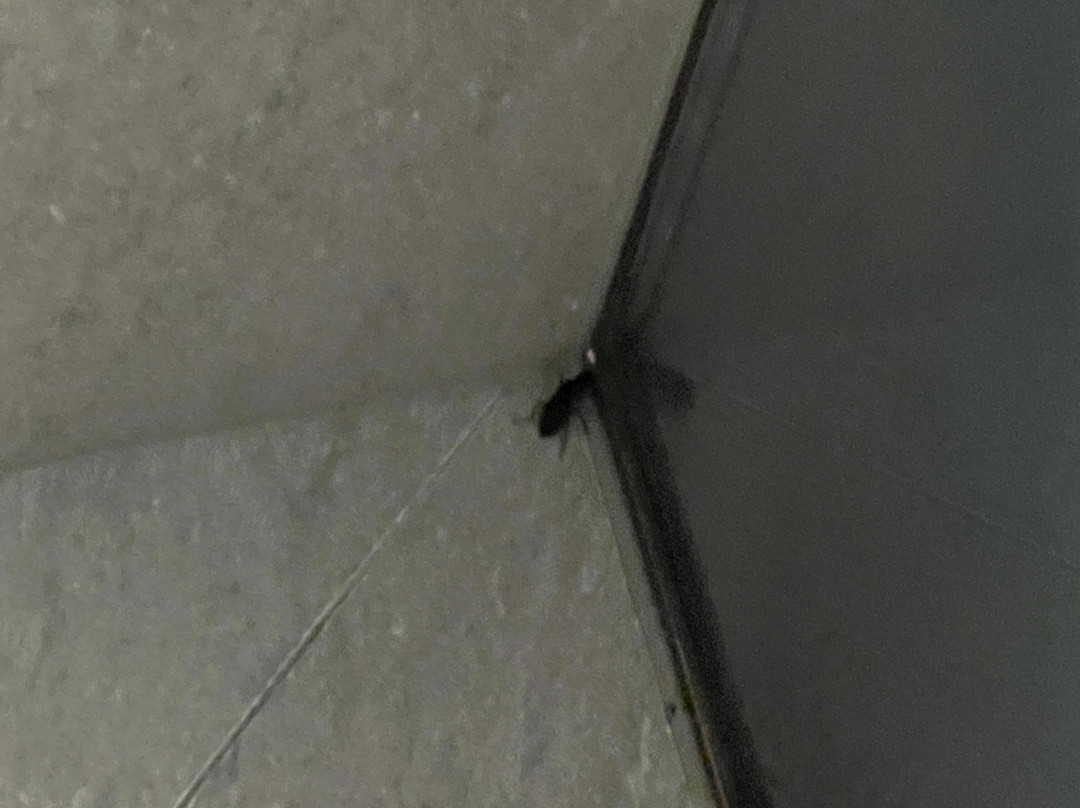 Ensana Aquahouse主图