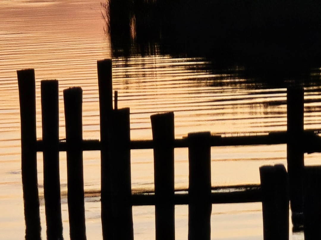 Wetipquin Park MD-Tyaskin必去景点