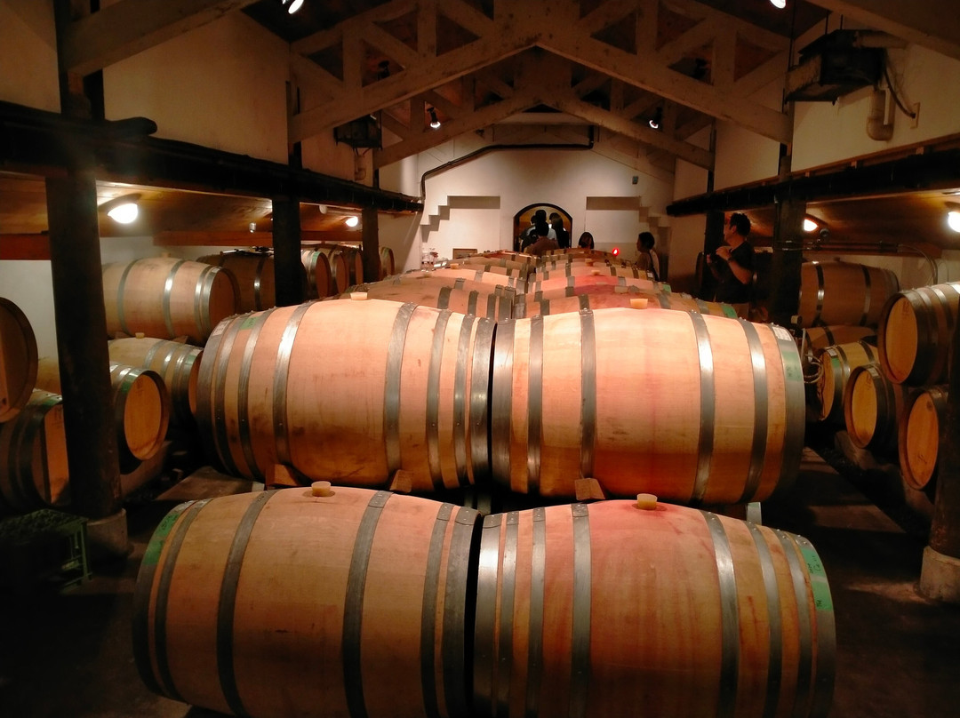 Cave D'occi Winery-新泻市必去景点