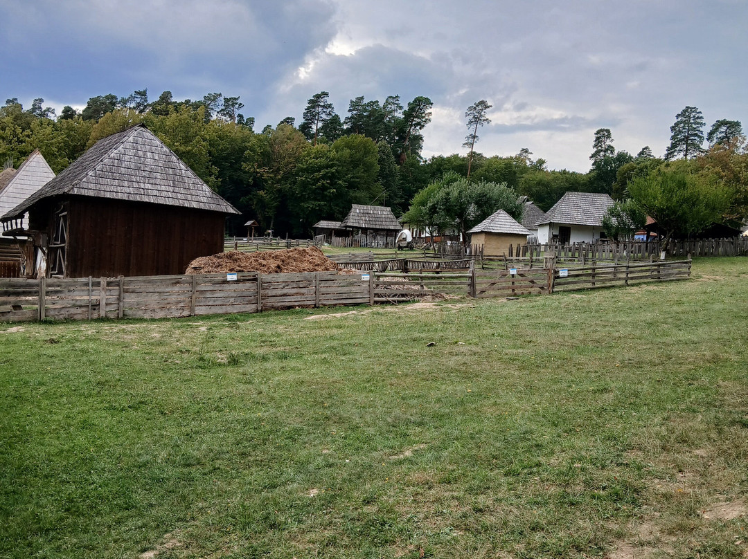 Muzeul Astra-锡比乌必去景点