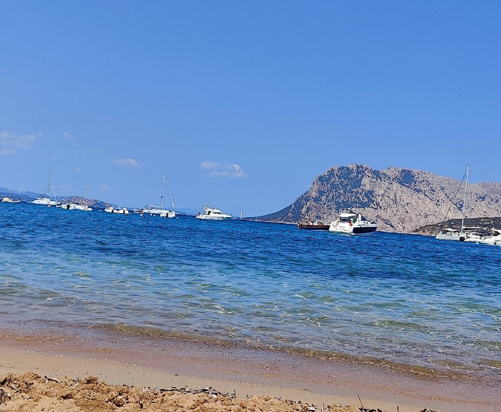 Spiaggia Capo Coda Cavallo-San Teodoro必去景点