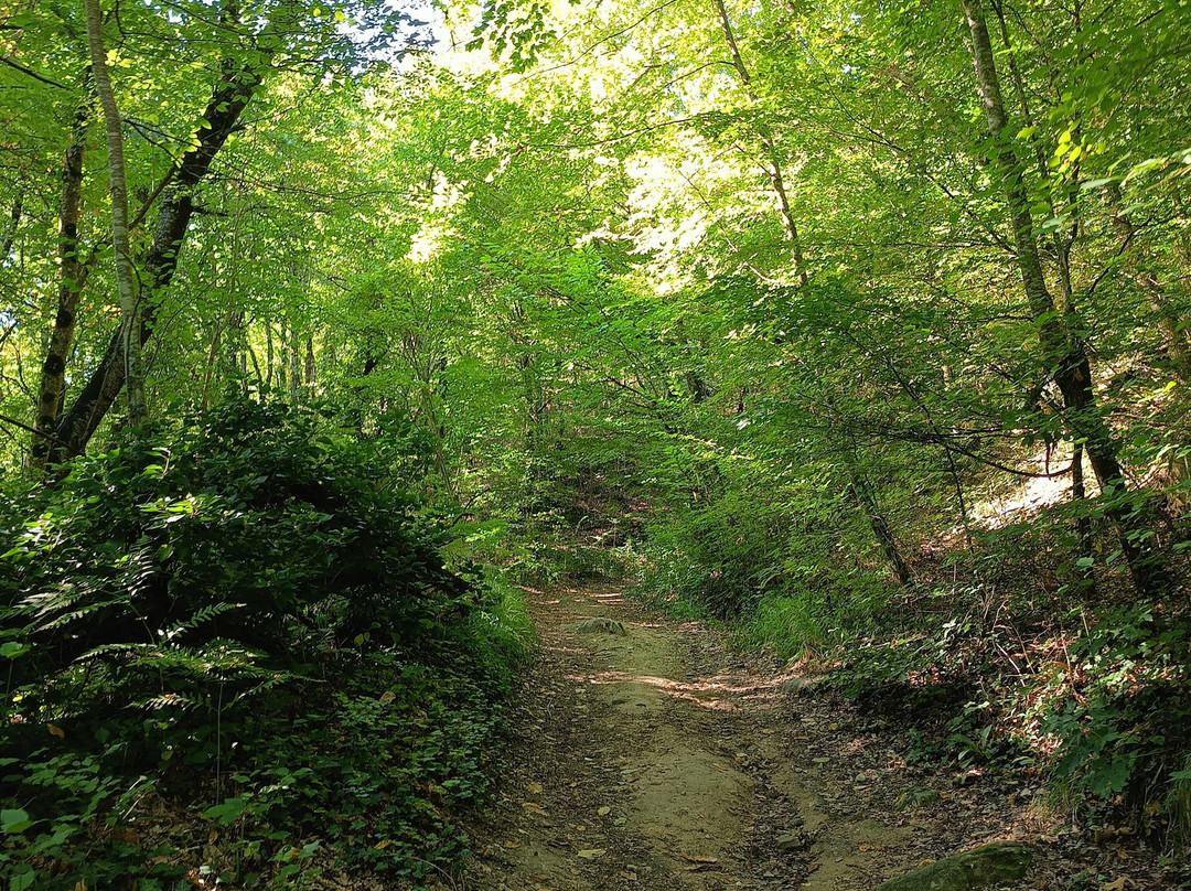 Grotte Di Soprasasso-Vergato必去景点
