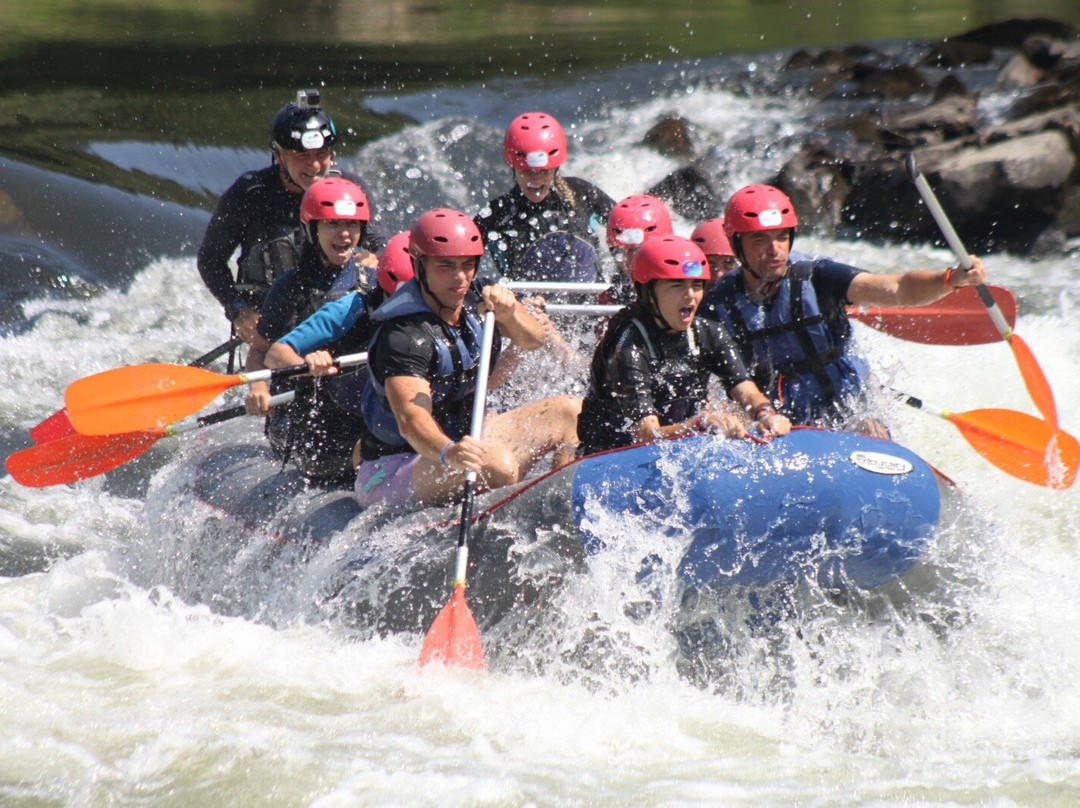 Vaguadaventura-Arbo必去景点