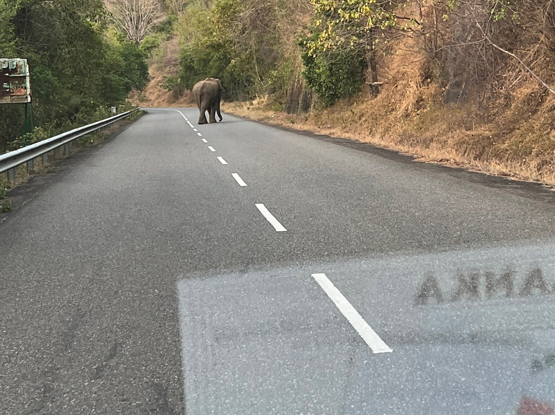 Vialanka Travels-Rajagiriya必去景点